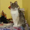 Отзыв от Серафима Малахова